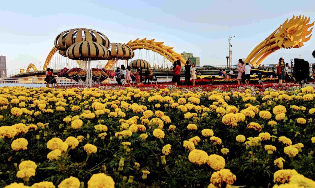 Dragon Bridge Da Nang Vietnam