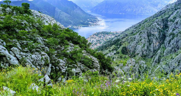 The view of Kotor Bay from the Old Fort Trail