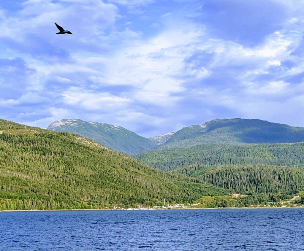 Douglas Channel with the Mountains behind and a hawk flying above