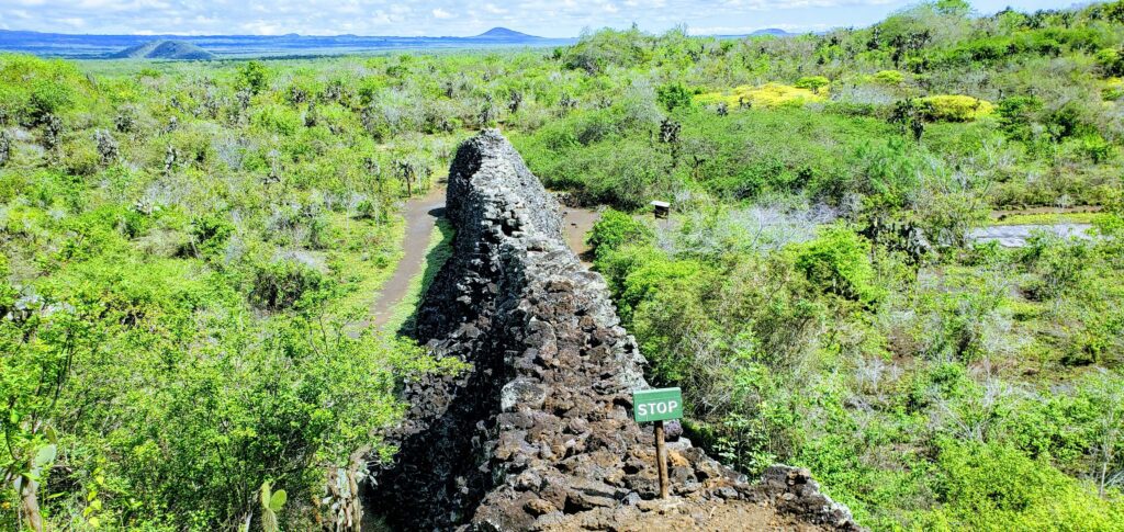 Wall of Tears on Galapagos Isabela island is always on a budget as the attraction is free