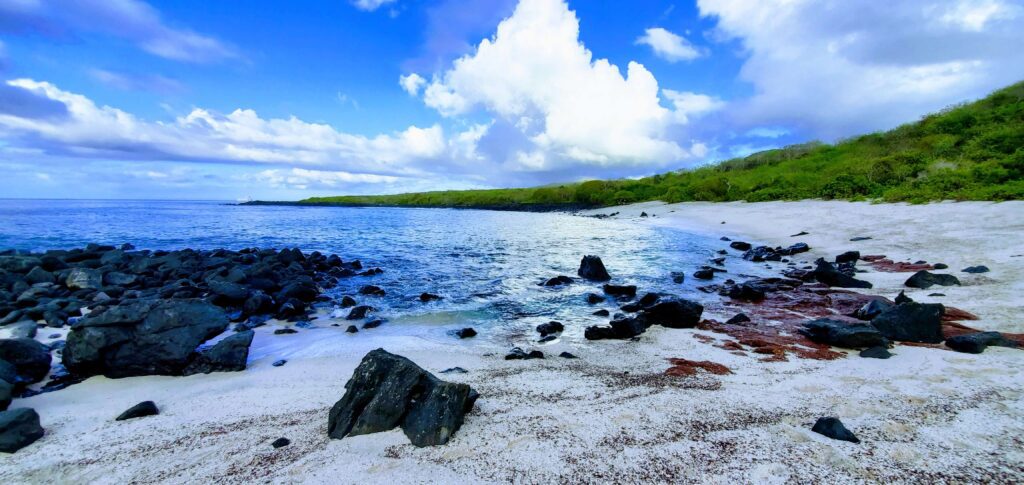 Puerto Baquerizo Galapagos is free on a budget of anyone