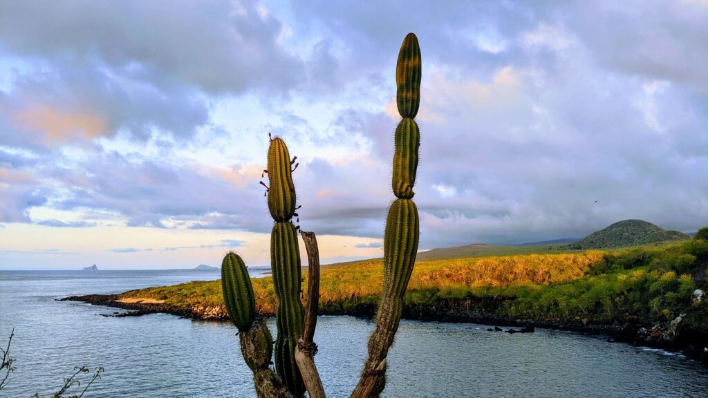 Cerro Tijeretas Galapagos a park that is free to the public and open to anyone on any budget