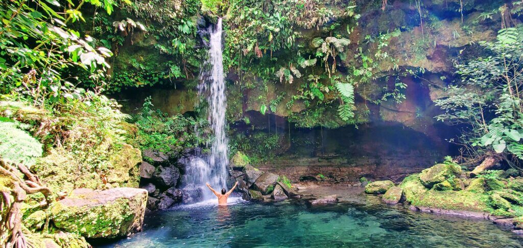 Emerald pool is one of the top reasons that the island of Dominica is a nature lovers paradise