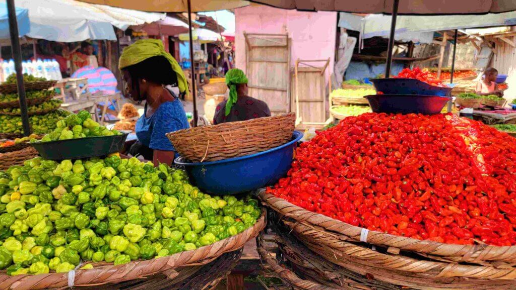 visit Benin