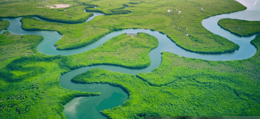 Gambia adventure