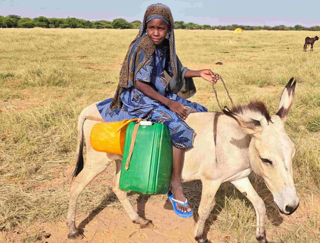 how to get to the Gerewol Festival in Niger