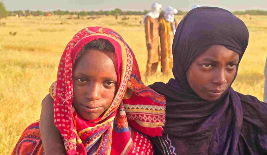 Love Rituals in the Desert: Gerewol Festival Niger - DANCING PANDAS