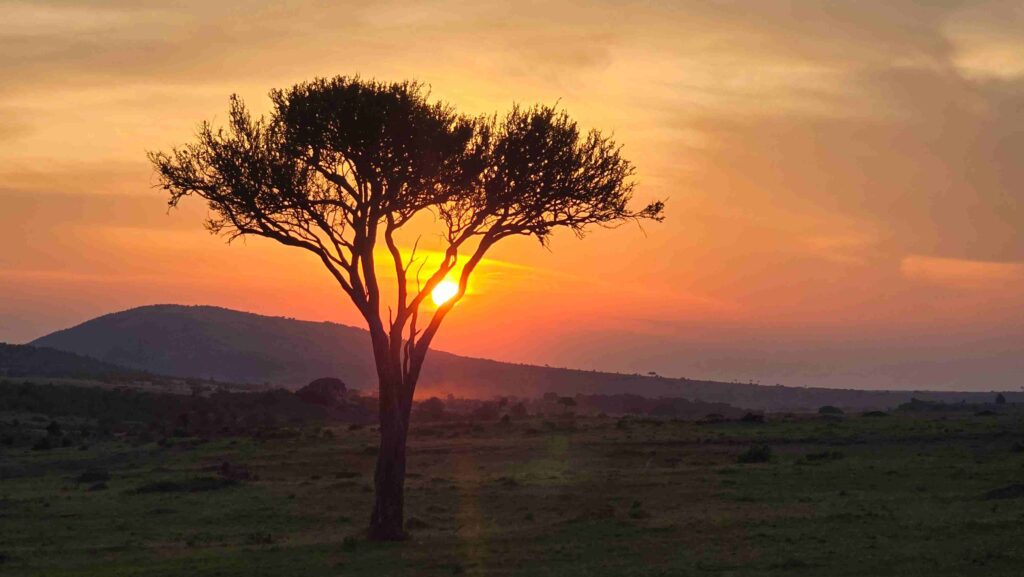 Lake Nakuru safari