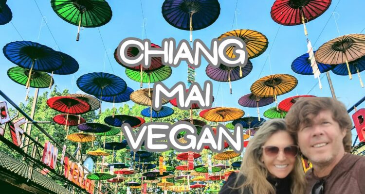 Chiang Mai Vegan Guide