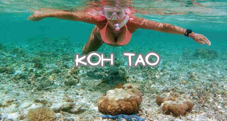 best snorkeling spots in Koh Tao