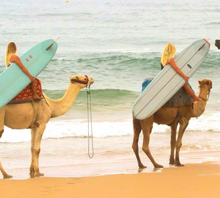 Surfing in Taghazout